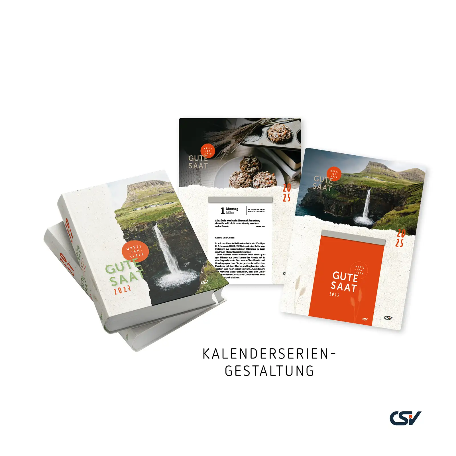 website_kreation_einblicke4